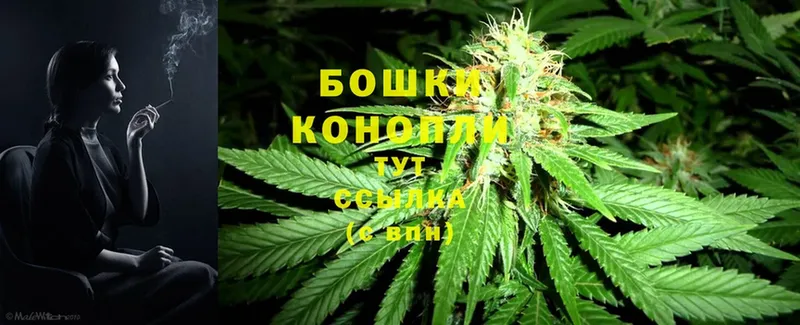 где найти   Верхний Тагил  Бошки Шишки THC 21% 